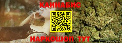 прущие грибы Кингисепп