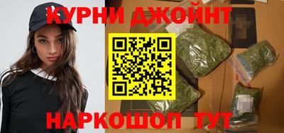 прущие грибы Кингисепп