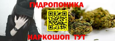 спиды Кинель