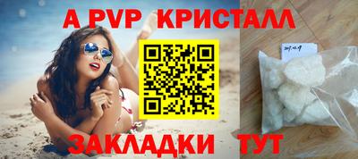 прущие грибы Кингисепп