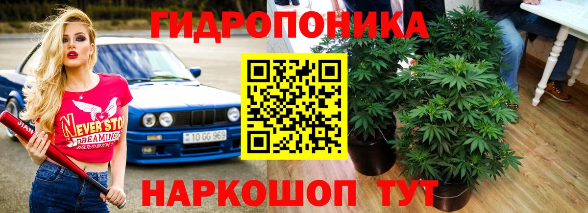 Каннабис VHQ Корсаков